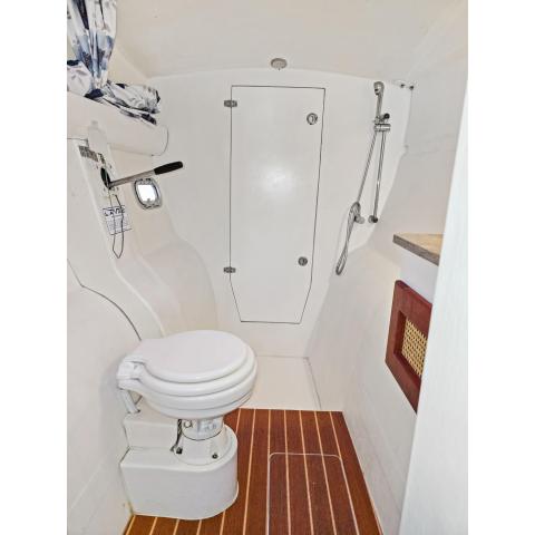 Compact boat bathroom with toilet, showerhead, and wood floor.
